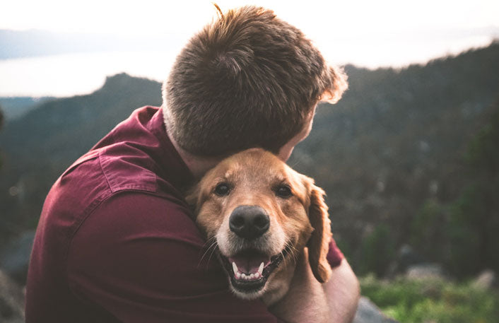 Experiencing Divine Intervention: A Miraculous Story of Finding Our Lost Dog